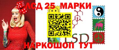 хмурый Сланцы