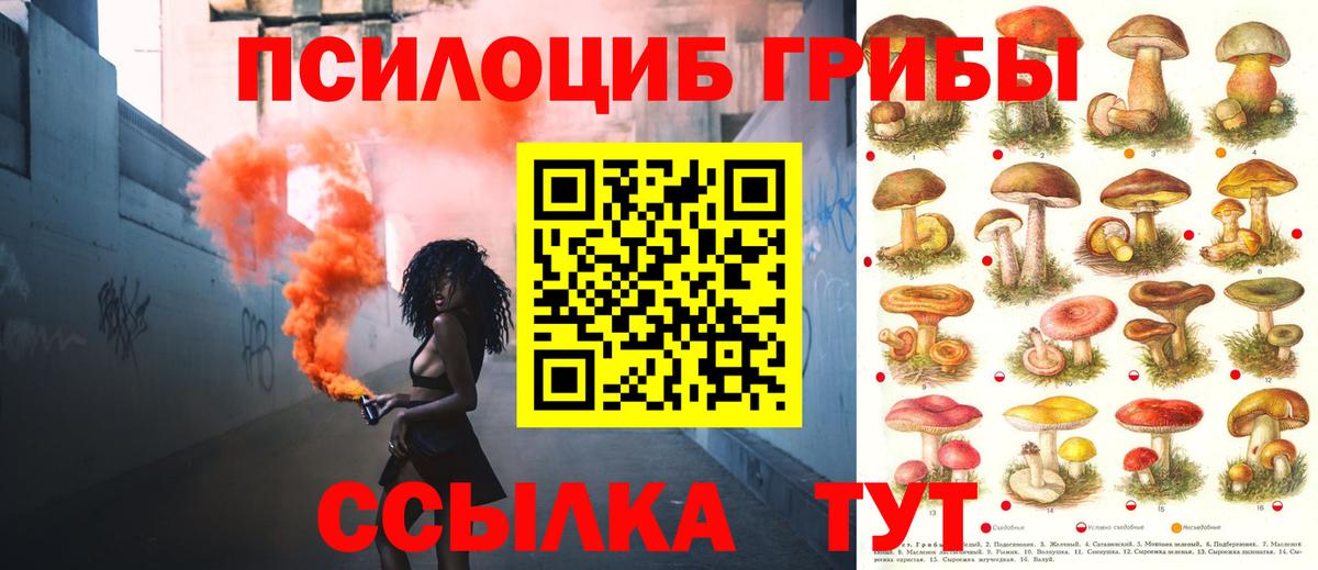 Псилоцибиновые грибы Psilocybe  Вход с VPN  Полевской 
